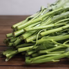 シャキシャキ食感がくせになる！空芯菜 600g　産地直送 農薬不使用