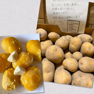 みんなの投稿の画像