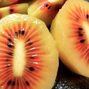 体が喜ぶ！自然農法　Vitalキウイフルーツ 紅妃（農薬・肥料不使用）