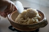 【食べ続けられる玄米】自然栽培ミルキークイーン５kg玄米