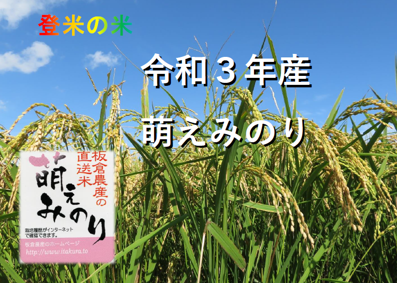 今摺り米 の３年産 萌えみのり 農家漁師から産地直送の通販 ポケットマルシェ