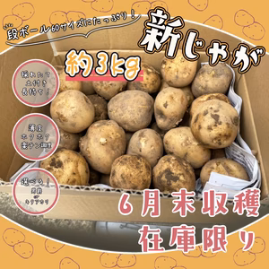 じゃがいも【男爵】3kg※キタアカリ品切