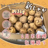 じゃがいも【男爵】3kg※キタアカリ品切