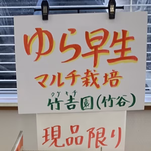竹吉園　40箱限定　有田みかん第4弾　濃厚さ抜群　ゆら早生　