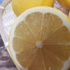 皮まで食べれる安心レモンの王道品種といえばこれ！！