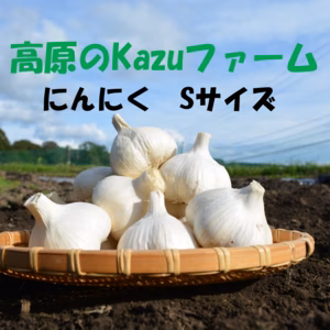 信州八ヶ岳産　農薬・化学肥料栽培期間中不使用にんにく　