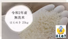 令和2年 はえぬき 無洗米 山形尾花沢産 新米