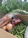 【野菜の玉手箱】＼1日10箱だけ！／大満足な山盛り枝豆と特製野菜セット