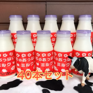 牛のおっぱいミルク40本セット