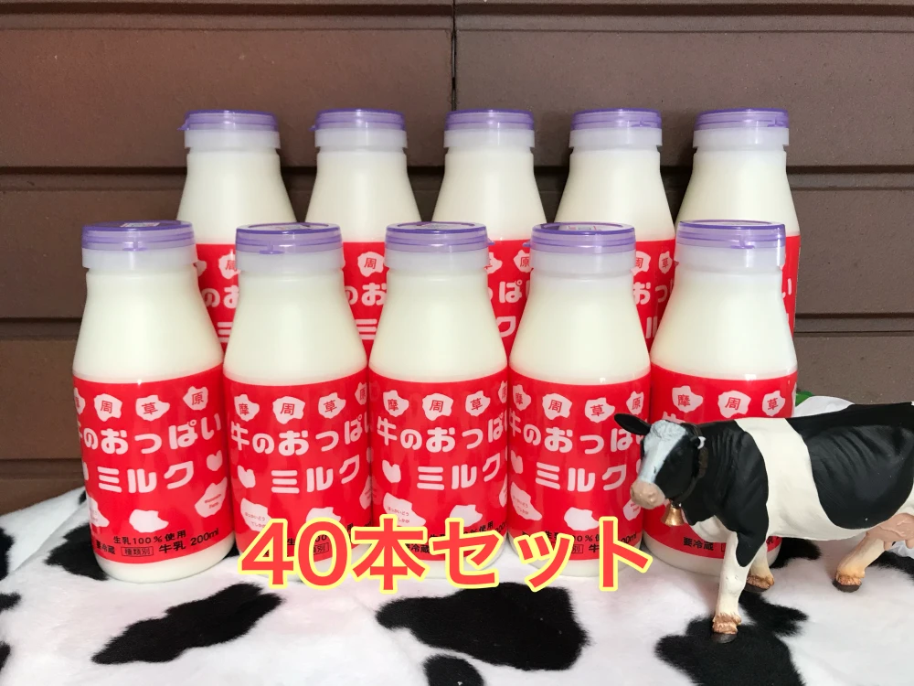 牛のおっぱいミルク40本セット｜卵・乳の商品詳細｜ポケットマルシェ