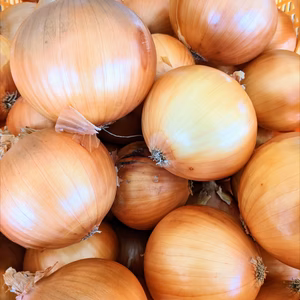 淡路島玉ねぎ