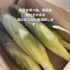 【予約増量】6月発送！甘さはじける⭐︎スイートコーン  白 L〜２Ｌ