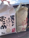 【食べ比べセット】北海道米ゆめぴりか・ななつぼし　各白米5キロ入セット