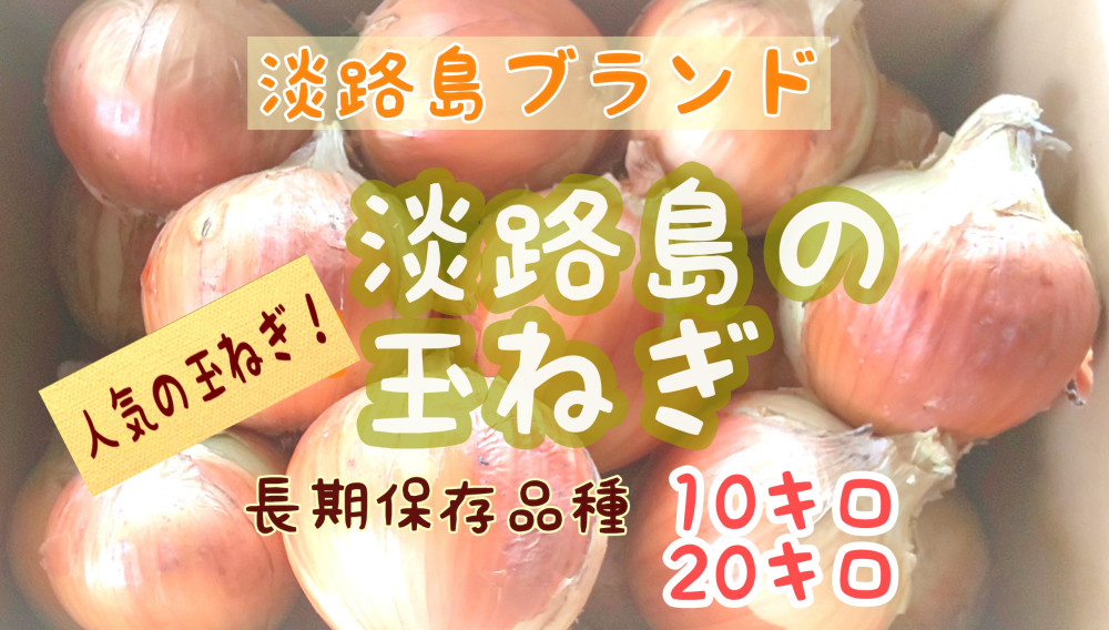 淡路島の玉ねぎ10キロキロ 神代ファーム 幸ちゃん 農家漁師直送のポケットマルシェ