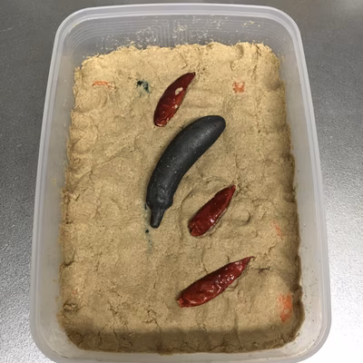 みんなの投稿の画像