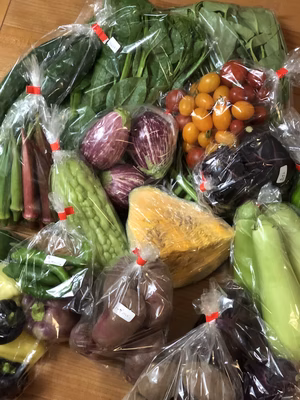 みんなの投稿の画像