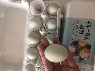 みんなの投稿の画像