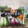 [貴山農園]季節の野菜セット