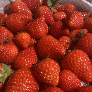 ごろっと盛り盛り完熟とちあいか2000g