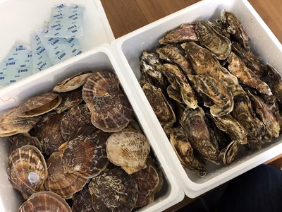 みんなの投稿の画像