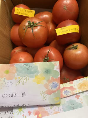 みんなの投稿の画像