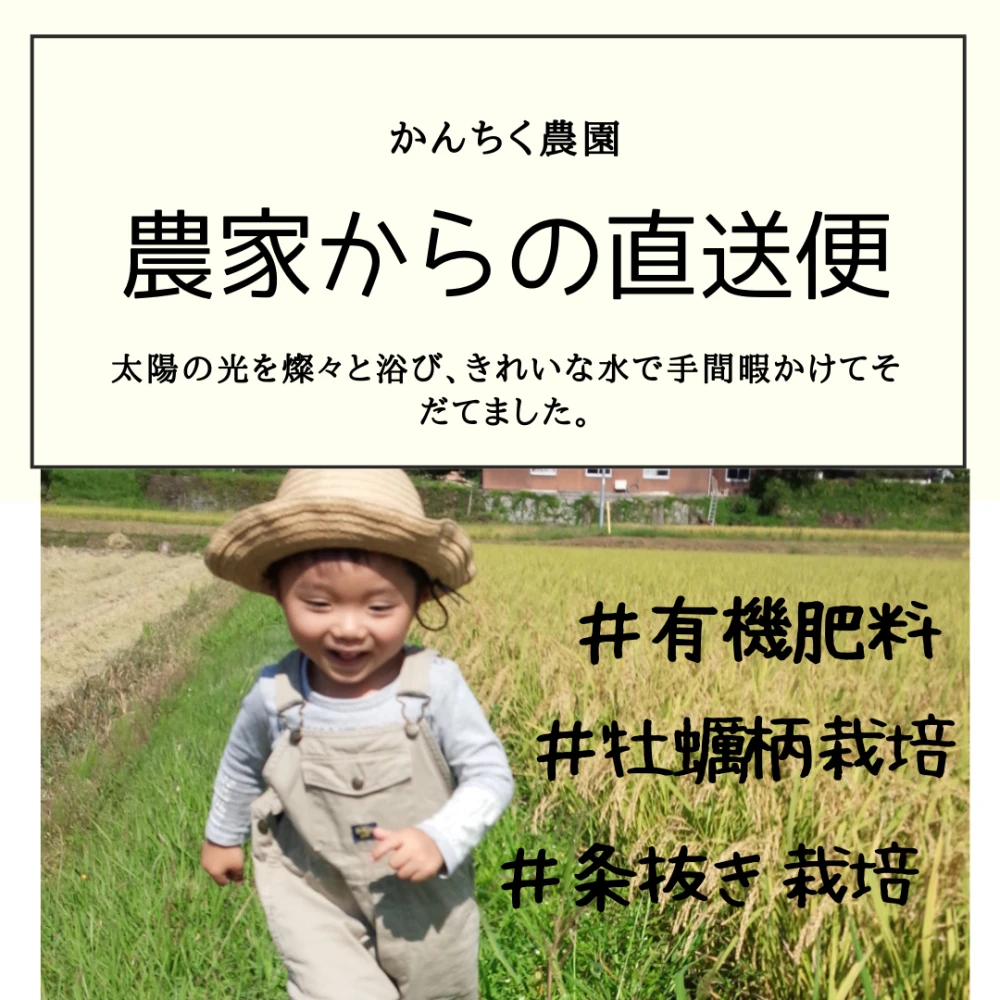 新米！一等米【送料無料】令和4年岡山県産コシヒカリ30㎏玄米（精米可）