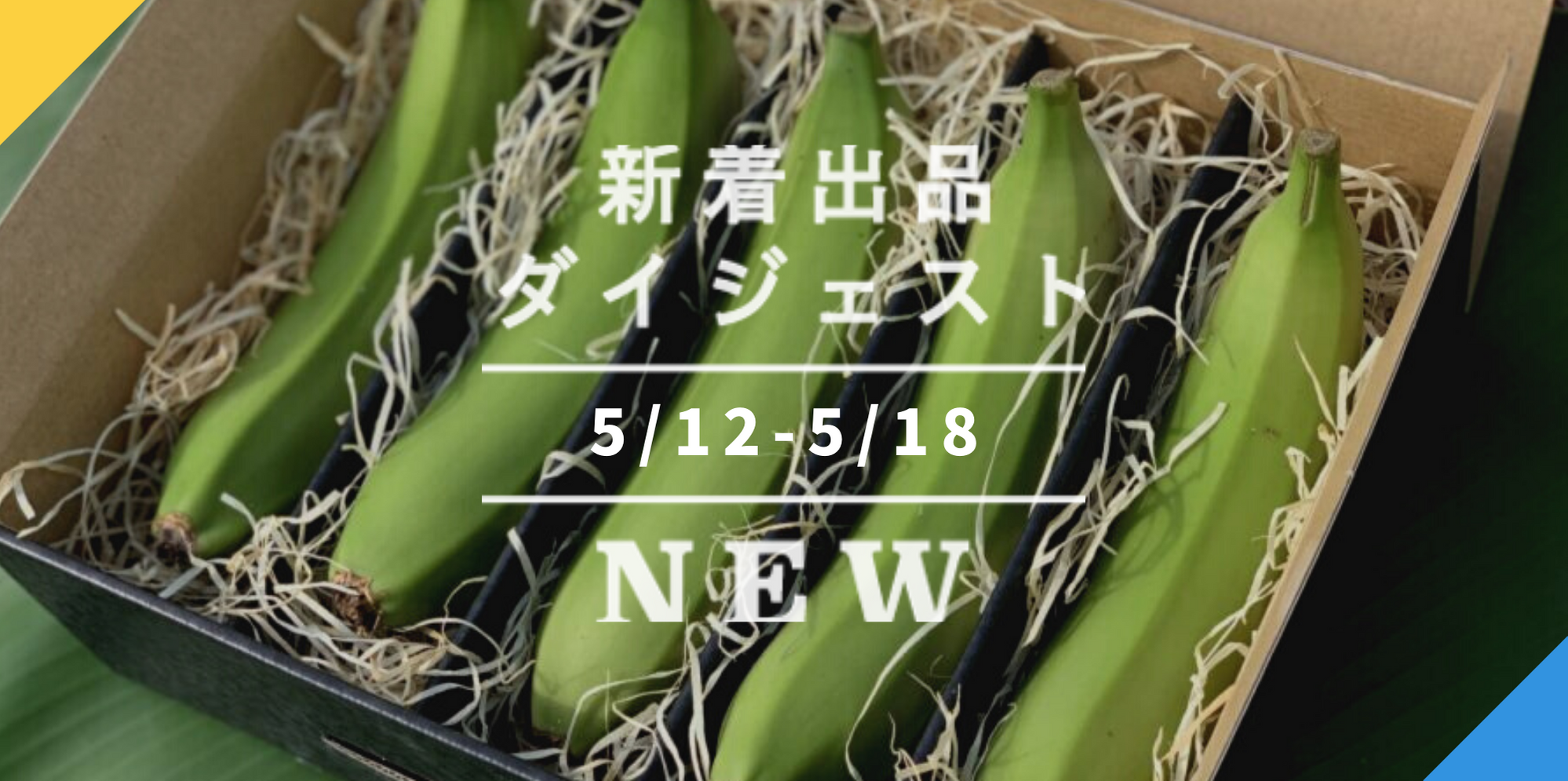 特別セール みどり様専用ページです(*^^*) レンゲ蜜１０本 | www.niikan.ir