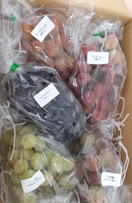 みんなの投稿の画像