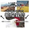 【Ｒ1年産・一等米】丹波篠山産コシヒカリ 10㎏ 特別栽培米 