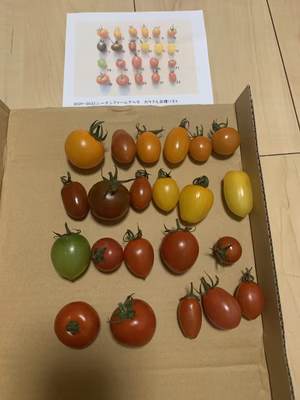 みんなの投稿の画像