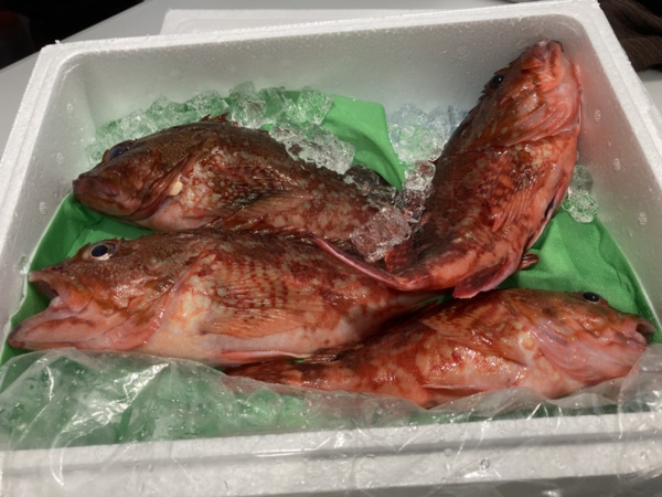 タイムsale 送料無料 お買得 あっさり上品な高級魚 アカハタ １kg 農家漁師から産地直送の通販 ポケットマルシェ