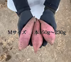 【伊勢平野の熟成紅はるか】甘いさつまいも　Mサイズ