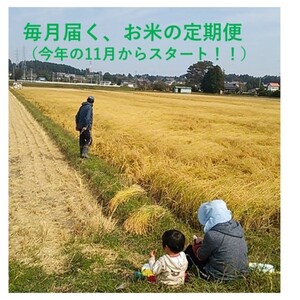 定期便じいちゃん米【コシヒカリ：精米10k/5k】