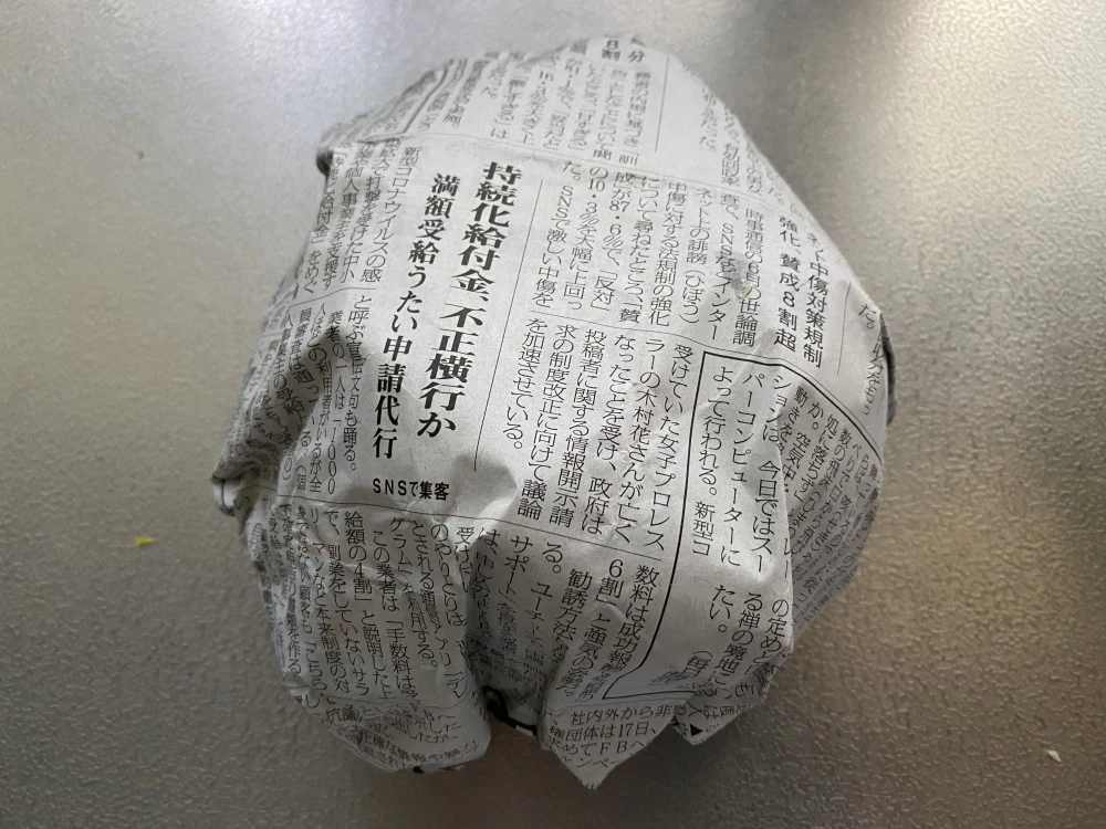 宮古島からだいばん(宮古島方言で大きい)アボカド2個セット