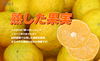 紀伊路屋 柑橘じゃばら果汁150ml ×3本 柑橘じゃばらジャム140ｇ×3個