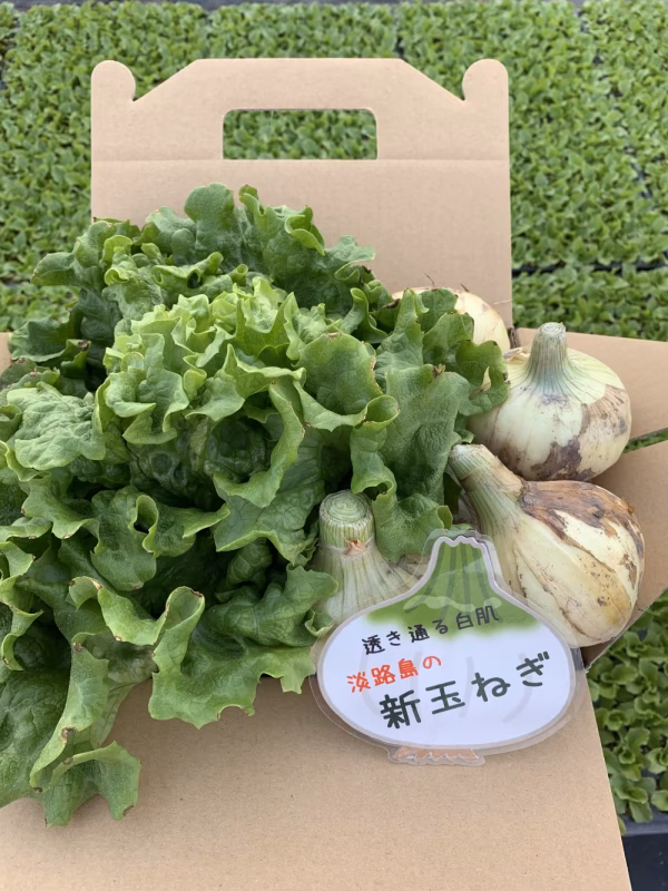 淡路島新玉ねぎ1kとグリーンウェーブ1のｾｯﾄ