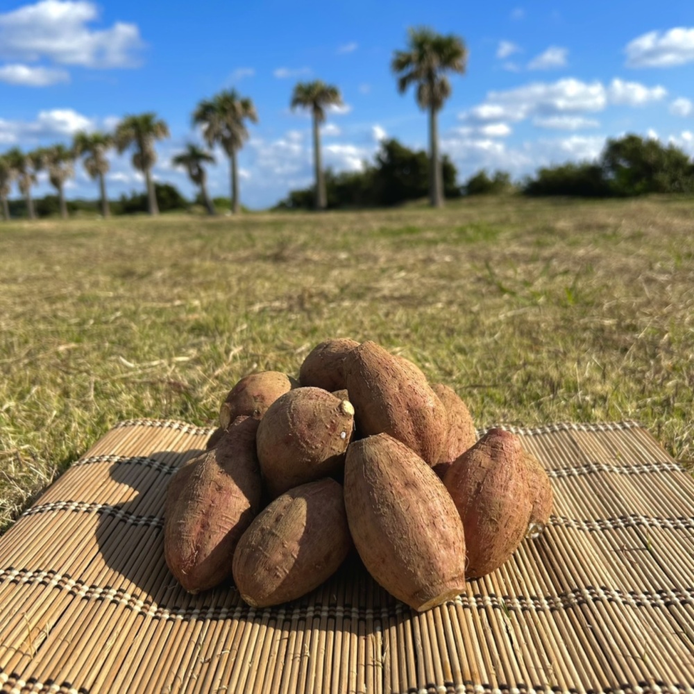 絶品】種子島産 安納芋 2Sサイズ｜aimo農園｜さつまいもの商品詳細
