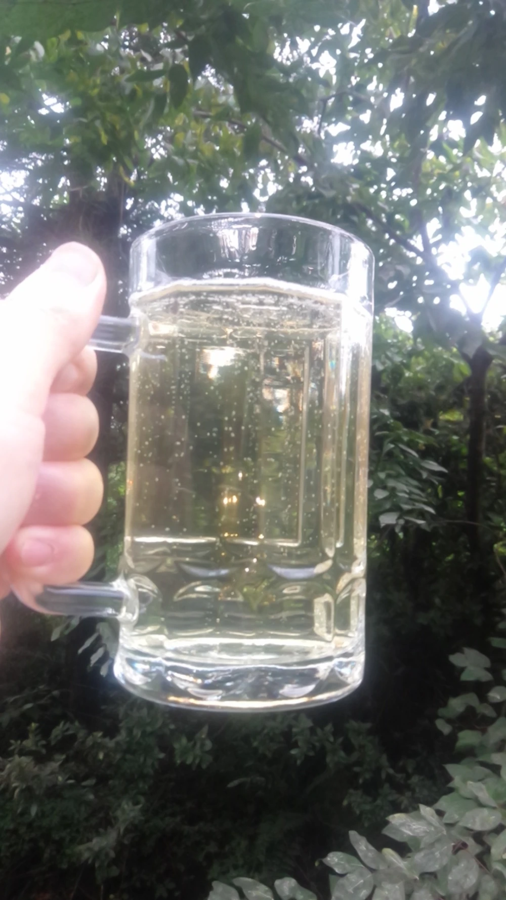 岩櫃山麓の霊芝霊芝ハイボールで一杯、霊芝酒のすすめ　魅惑の薬膳酒　乾燥霊芝50ｇ
