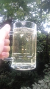 岩櫃山麓の霊芝霊芝ハイボールで一杯、霊芝酒のすすめ　魅惑の薬膳酒　乾燥霊芝50ｇ