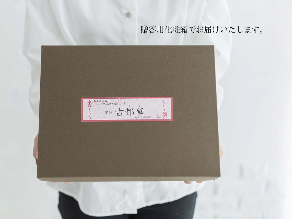 贈答用 ”完熟いちご 古都華” 8～15粒（270～320ｇ）×2パック