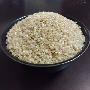 はざかけコシヒカリ　玄米