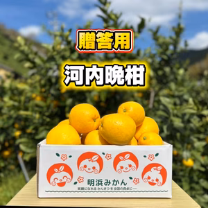天晴晩柑　ご贈答用
