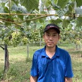 武本英雄 | たけもと果樹園