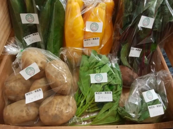 【固定種・農薬＆肥料不使用】季節のお野菜BOX（大）　きよさんセレクト