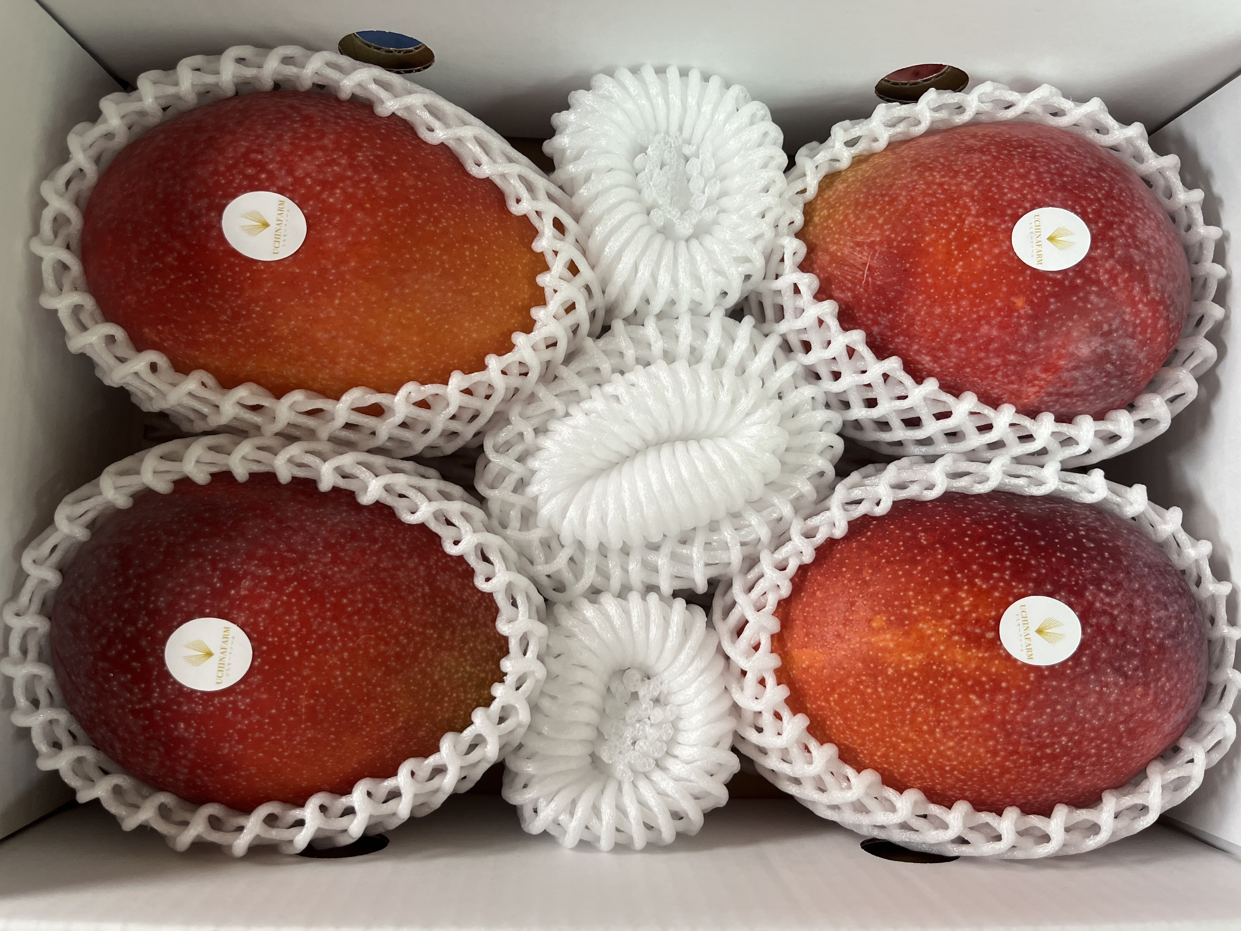 沖縄マンゴー 2Kg(3-5玉入り)化粧箱入り｜マンゴーの商品詳細