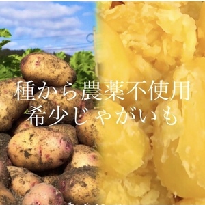 3.5kg"農家の中でも『幻』のじゃがいも！本当に美味しいじゃがいも【限定販売