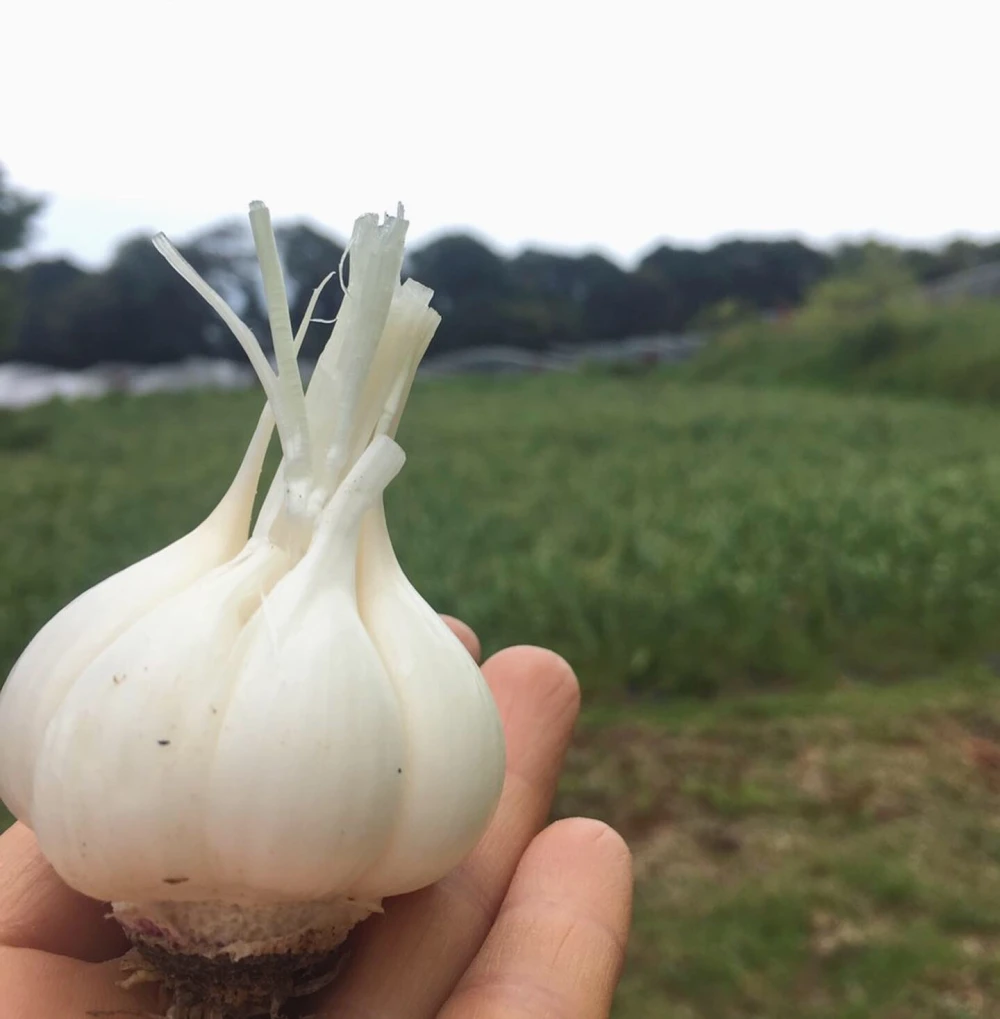 農園女子のこだわりがつまった焼肉のたれ200ml 安心野菜と国産材料