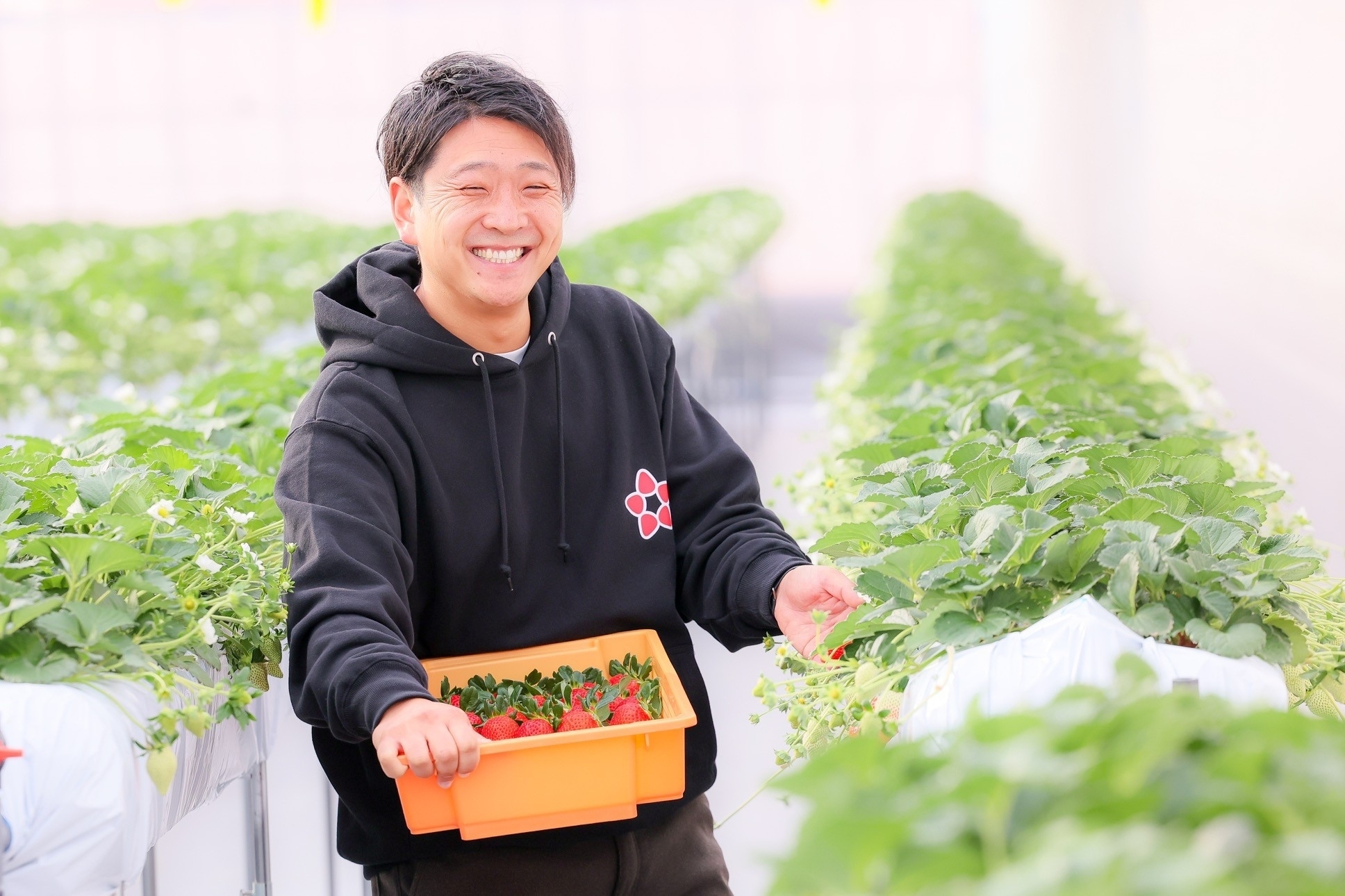 群馬県伊勢崎市｜かがやきいちご園【2023金賞】｜齋藤大輝さんの