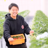 齋藤大輝 | かがやきいちご園