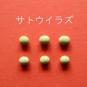 【サトウイラズ　２００g】砂糖がいらないくらい甘みの強い大豆です